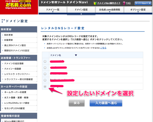 ドメインNavi DNS設定